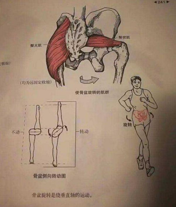 健身技巧运动竞走教案_运动健身竞走技巧_健身技巧运动竞走动作