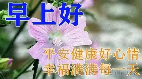 周二早上好！愿你的生活如阳光般灿烂，健康