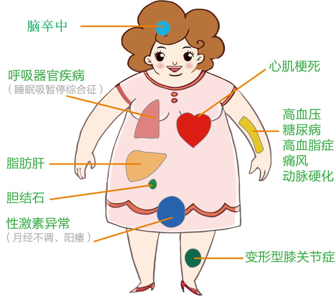 轻度亚健康和重度疲劳_轻度亚健康状态的特征_轻度亚健康症状