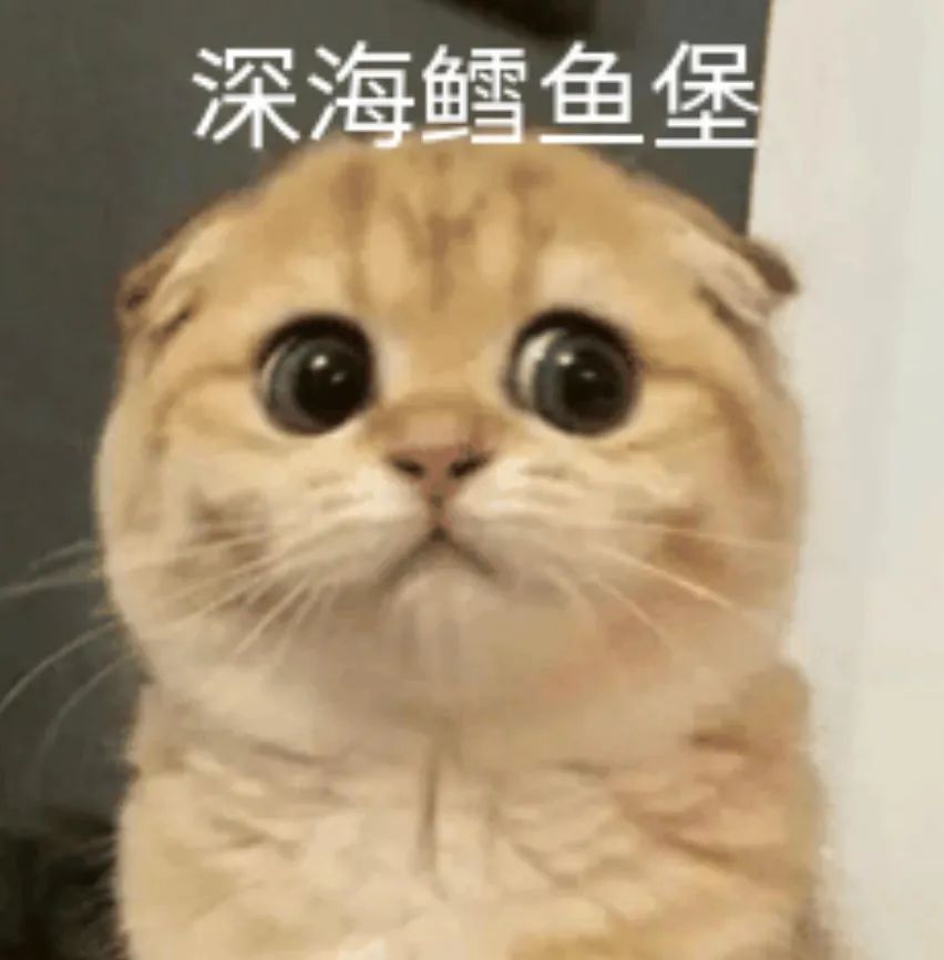 留学英语不好很痛苦？试试这个思维转变，轻