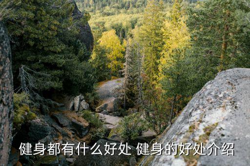 健身新手必知：力量训练与有氧训练的正确顺