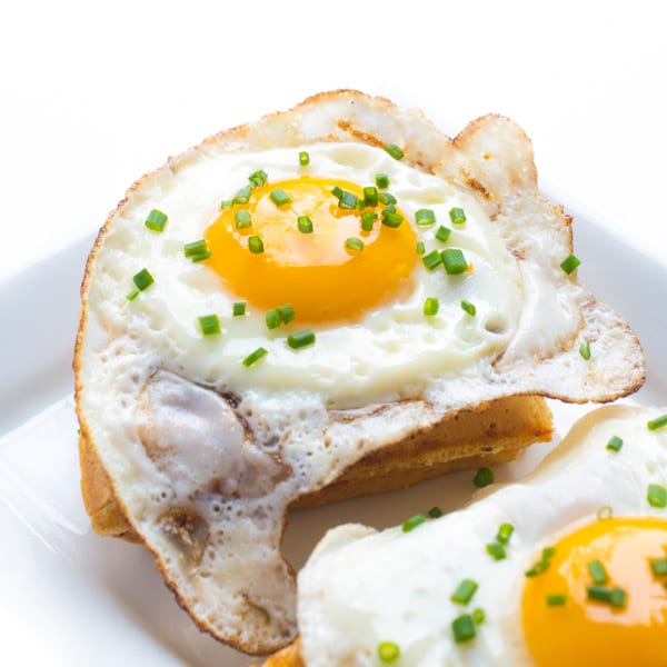 eggs