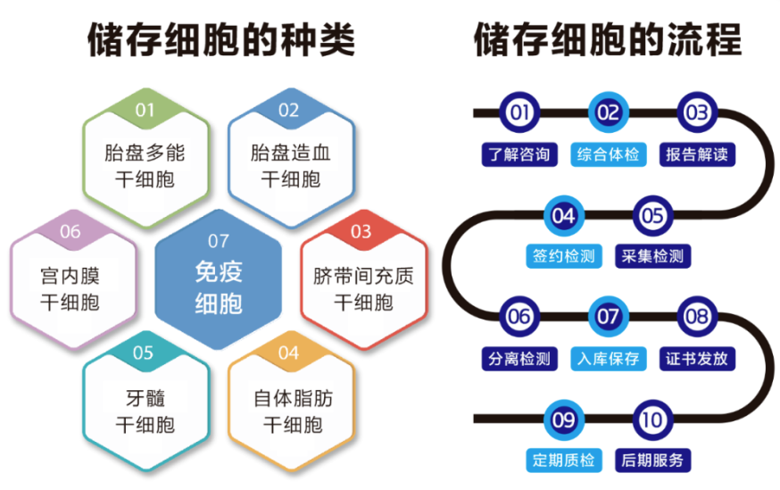 免疫细胞亚群检测的意义_免疫细胞亚群有哪些_免疫细胞 亚健康