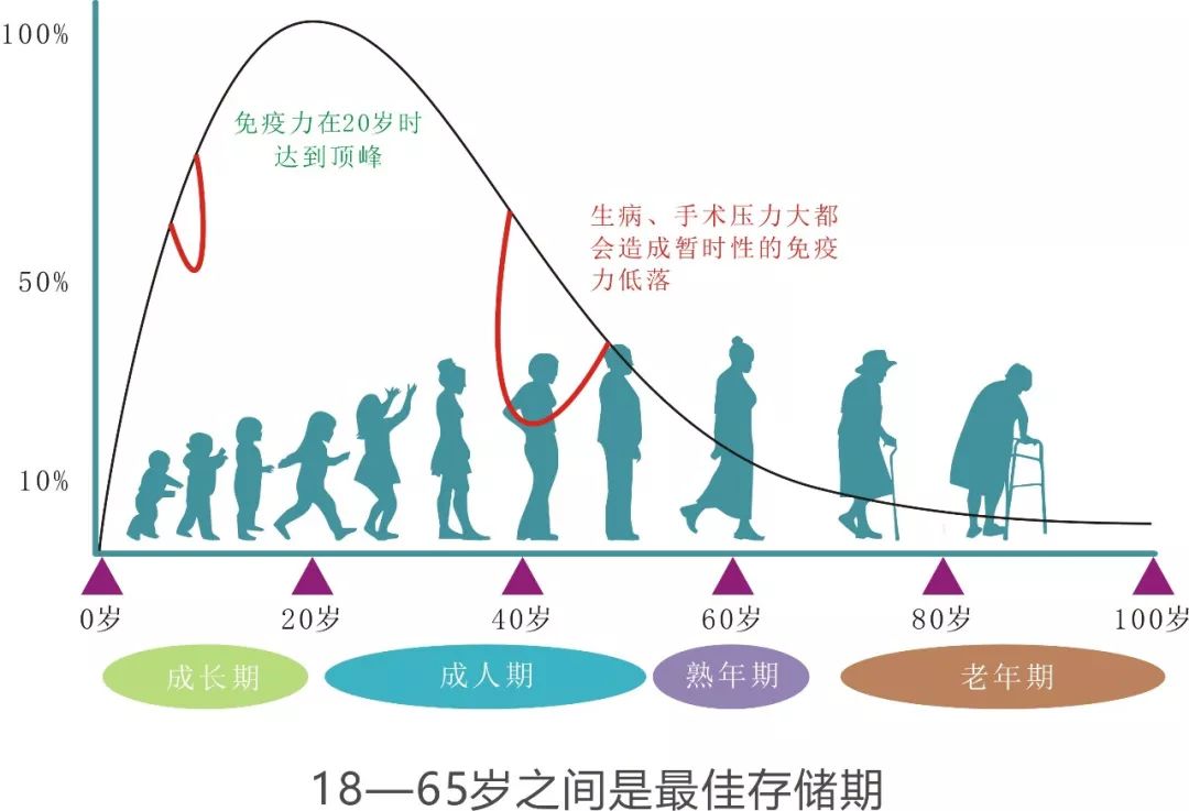 免疫细胞亚群检测的意义_免疫细胞 亚健康_免疫细胞亚群有哪些