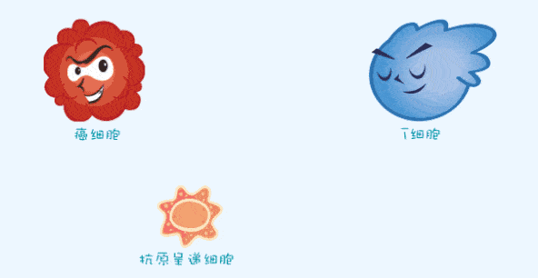 免疫细胞亚群有哪些_免疫细胞亚群检测的意义_免疫细胞 亚健康