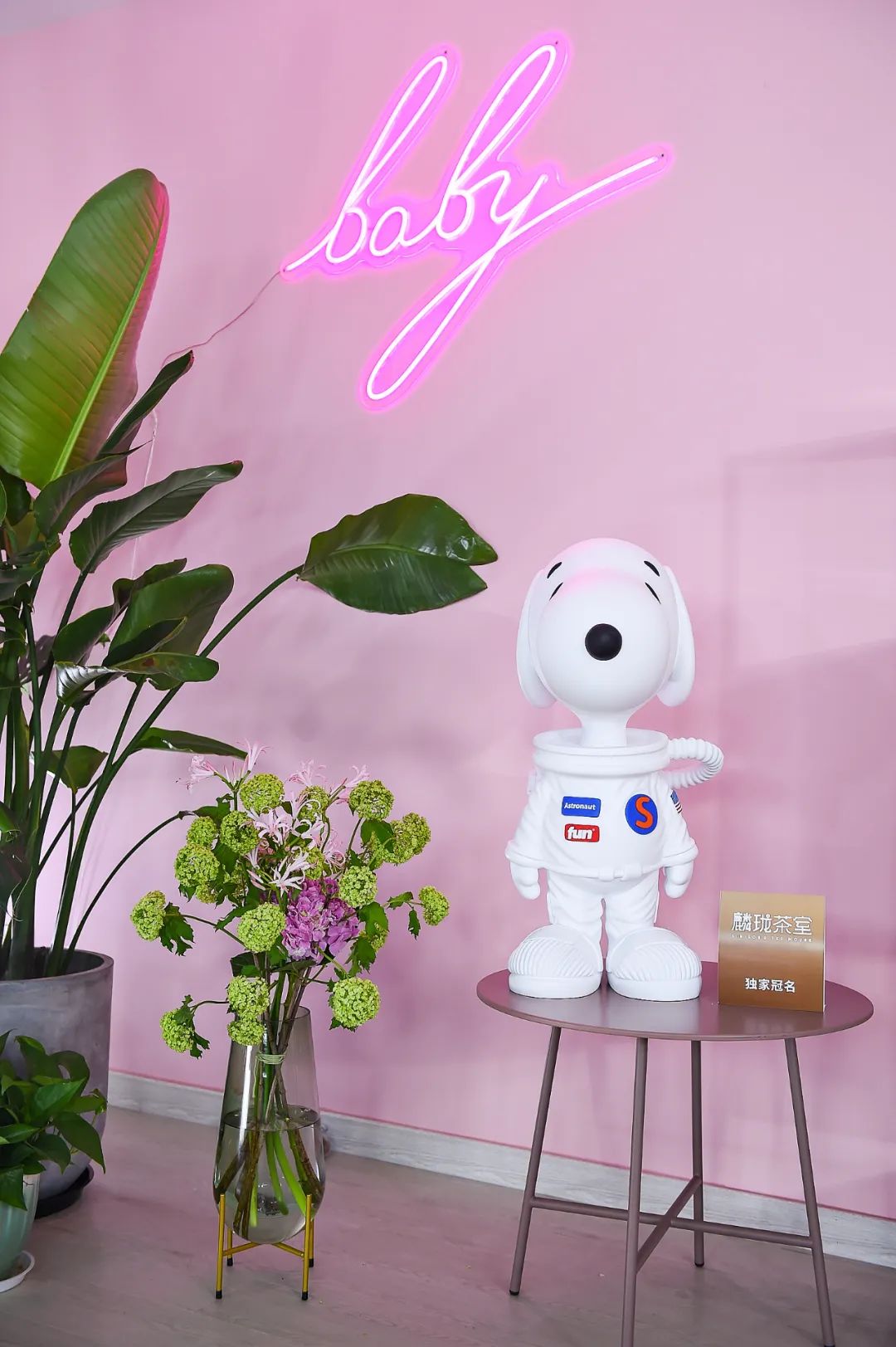 直播健身的主播_明星健身女直播间_直播健身明星间女的是谁