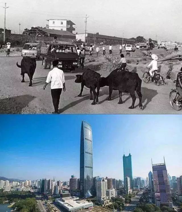 鱼肉的吃法有哪几种_中国家庭日常吃的鱼肉_鱼肉吃法大全