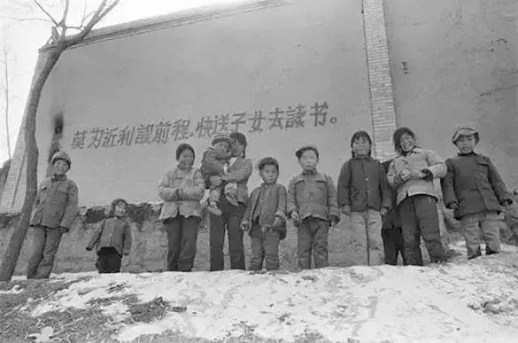 鱼肉吃法大全_中国家庭日常吃的鱼肉_鱼肉的吃法有哪几种