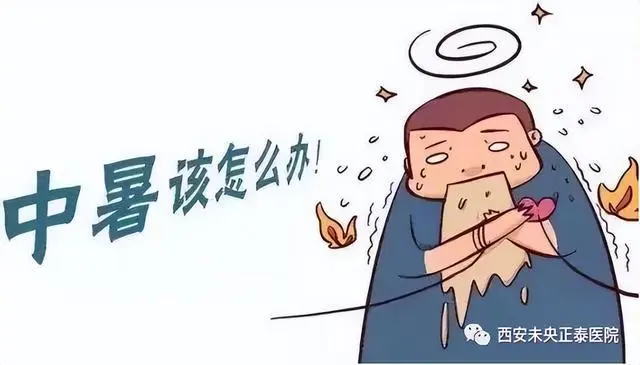中暑的防护_防中暑的基本常识_中暑防治措施