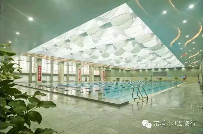 游泳蛙陆地腿技巧_陆上蛙泳腿怎么练_陆地蛙泳腿正确动作